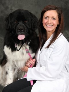 Dr. Erin Anderson Dr. Erin Anderson